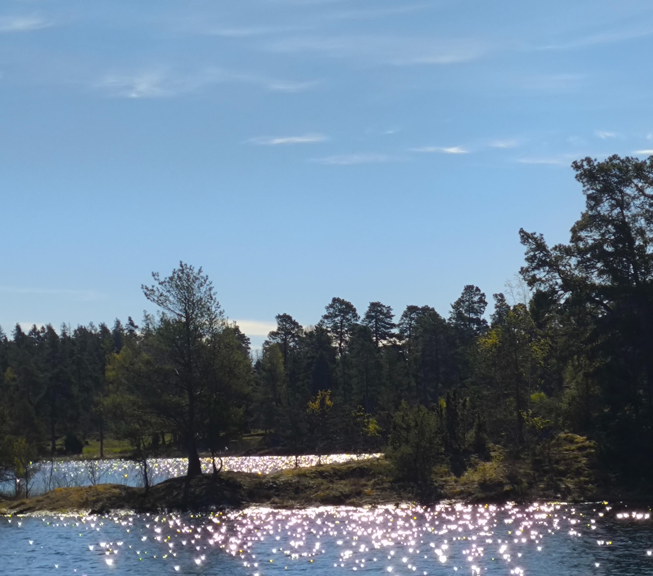 Calm Dalsland lake Still water at the edge of a lake surrounded by forest.